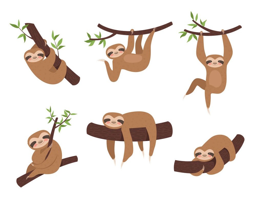 set of lazy sloth