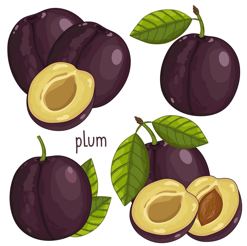 set of plums fruit