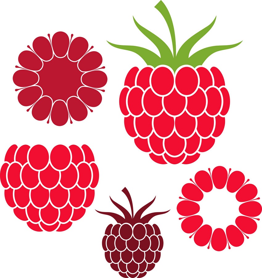 set of raspberries icon