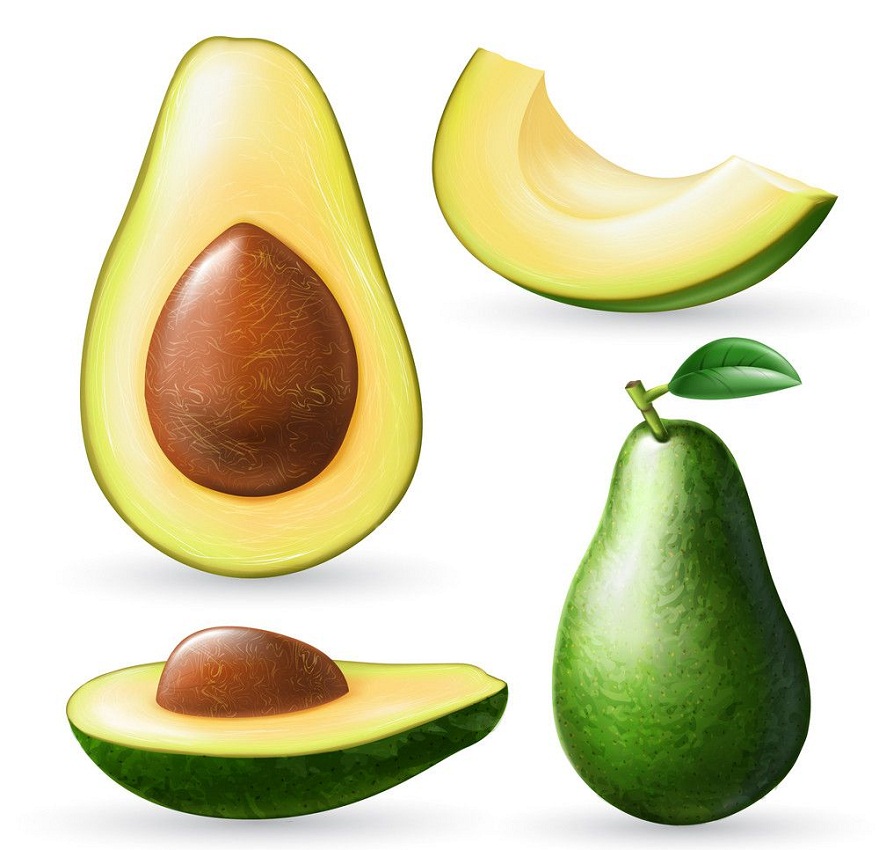 set of realistic avocado