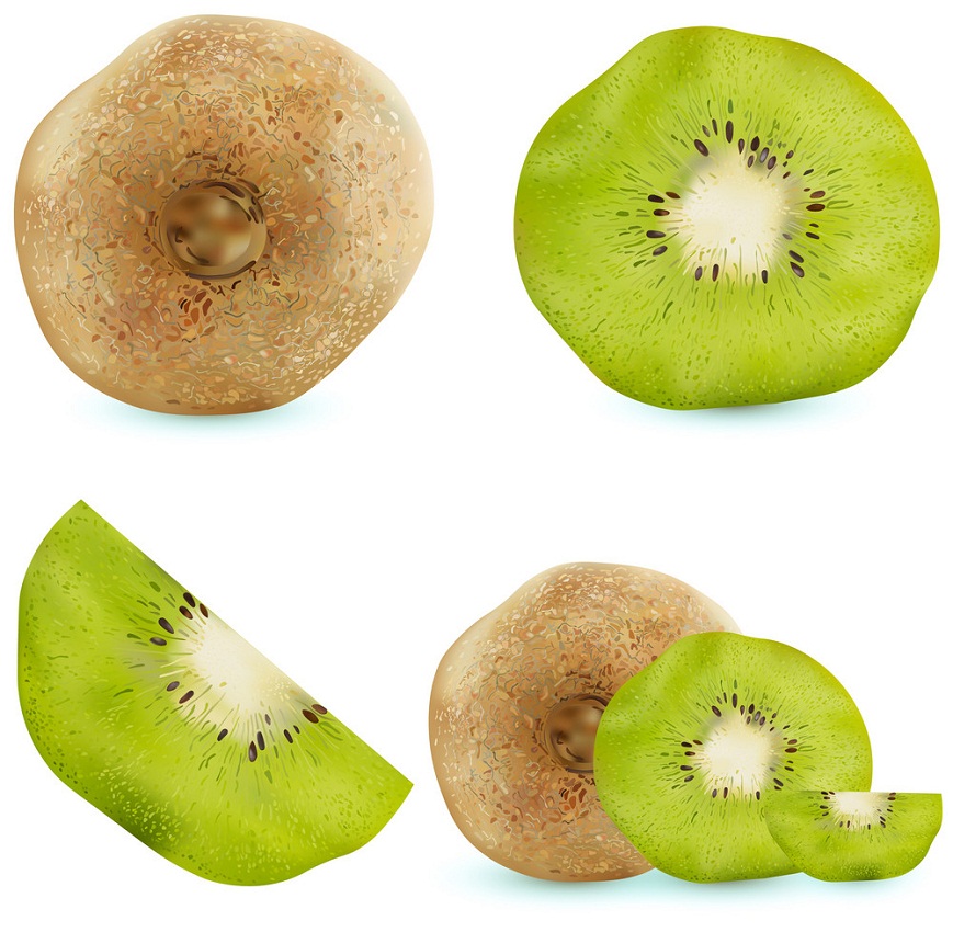 set of realistic kiwi fruit