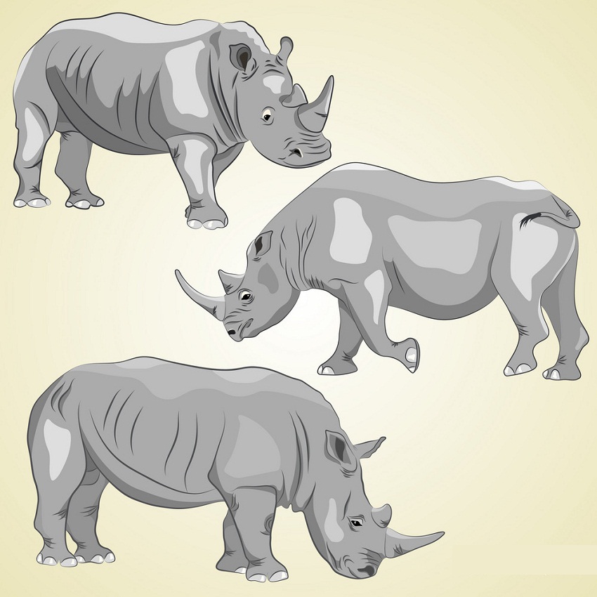 set of realistic rhinos