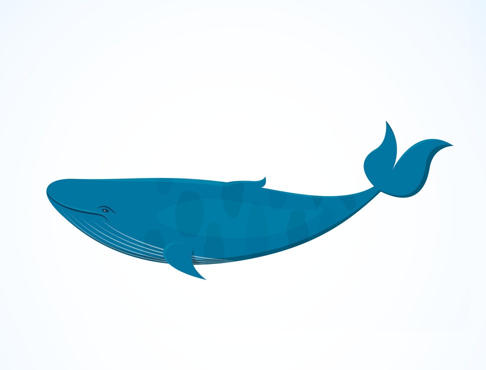 simple blue whale