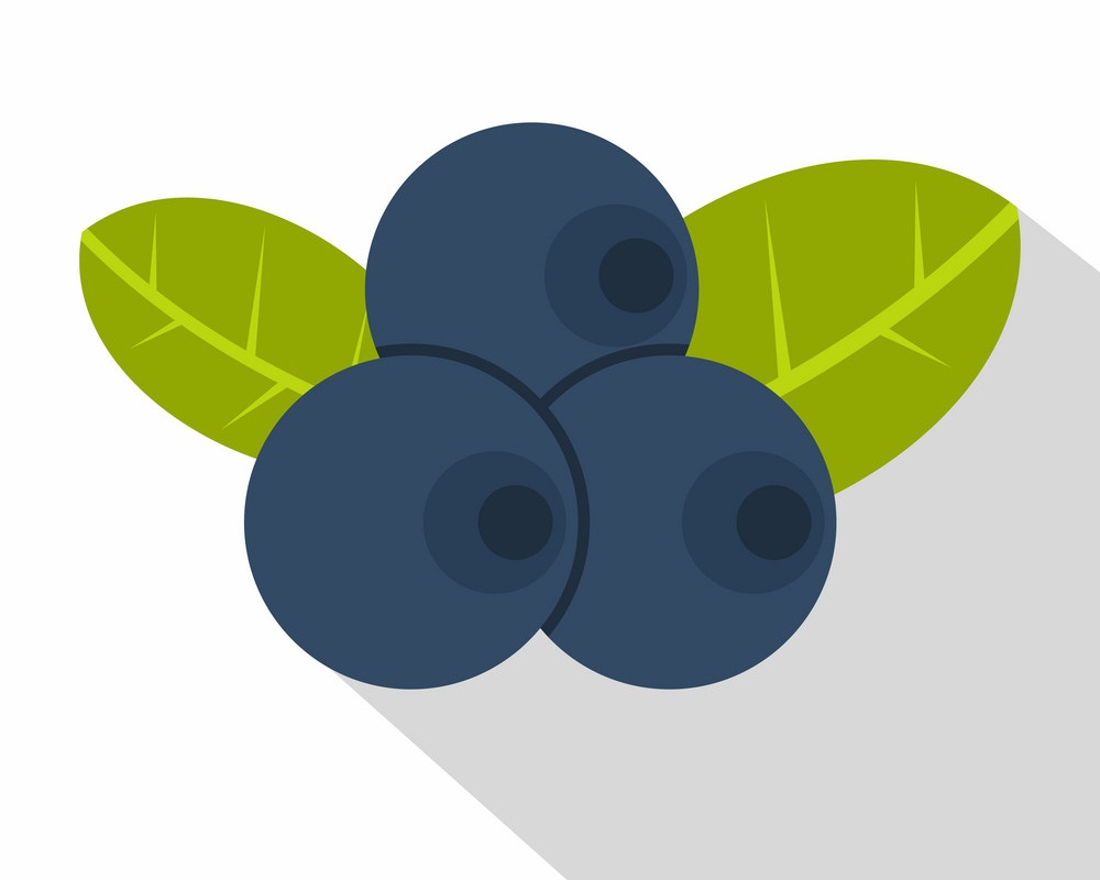 simple blueberry icon