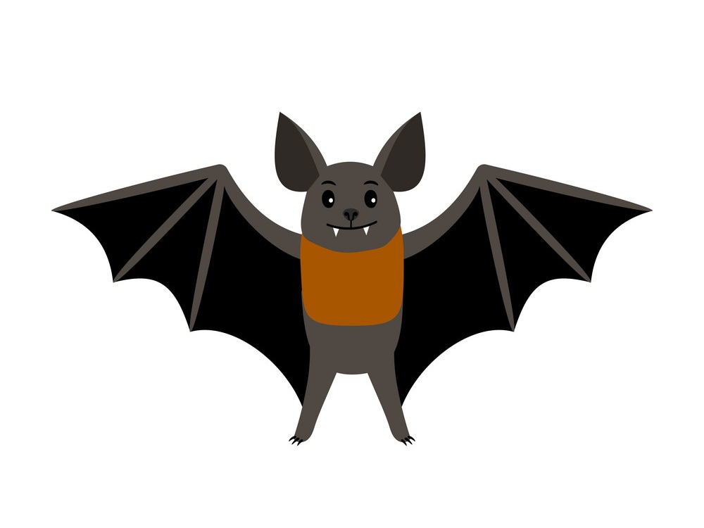 simple cartoon bat