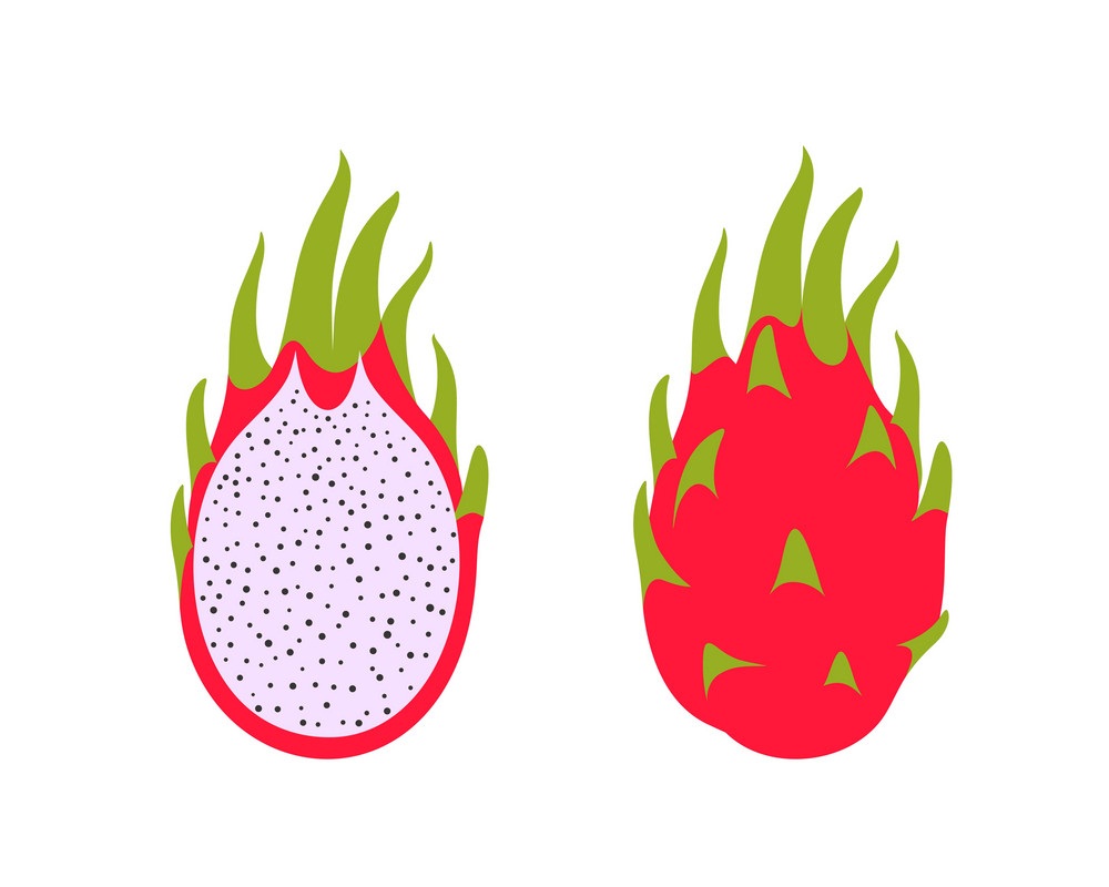 simple dragon fruit