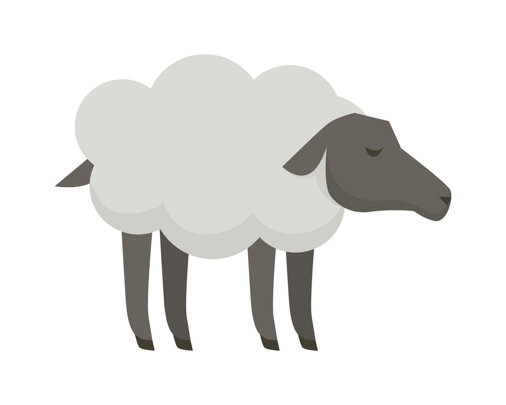 simple flat design sheep