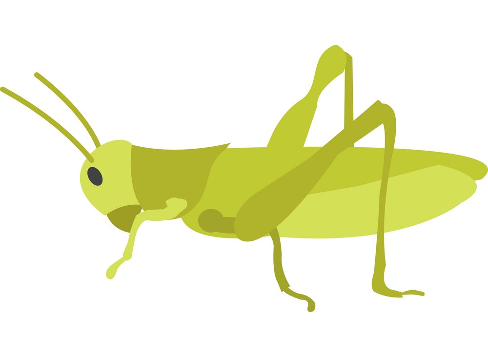 simple grasshopper
