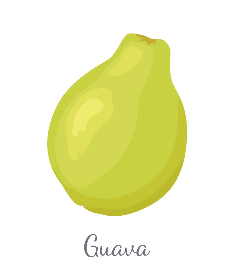 simple guava fruit