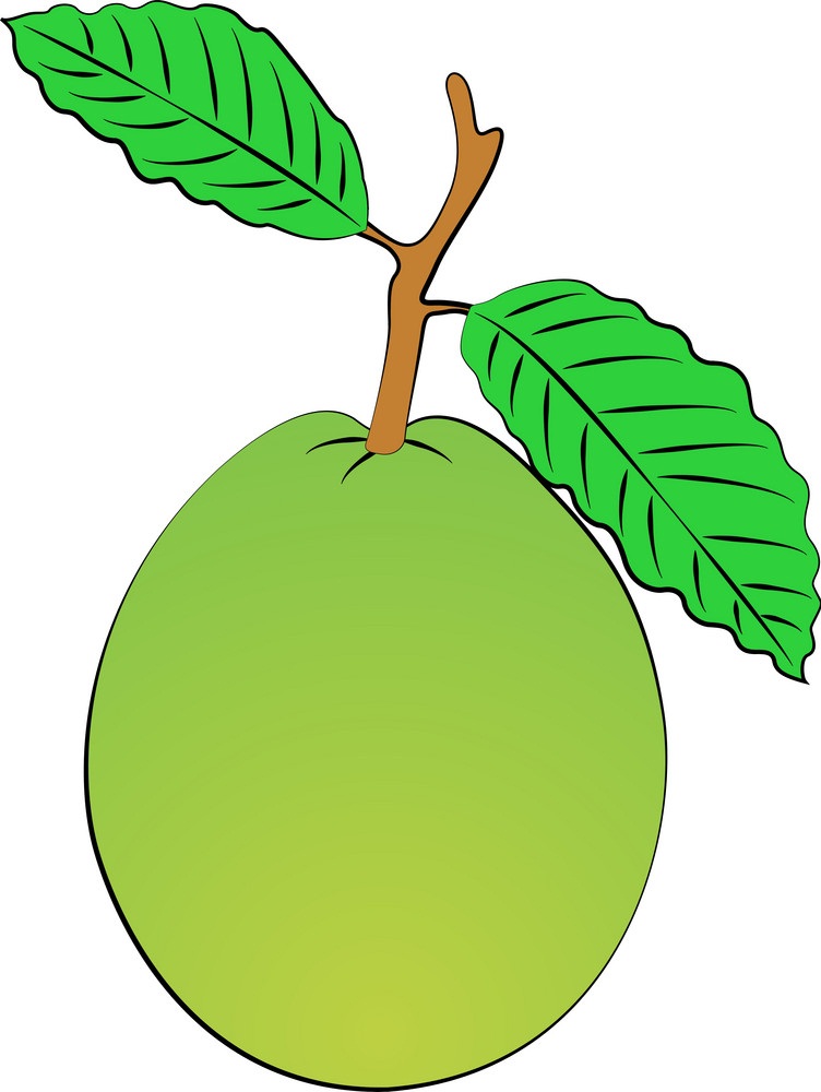 simple guava