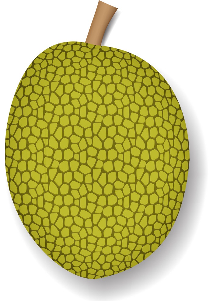 simple jackfruit