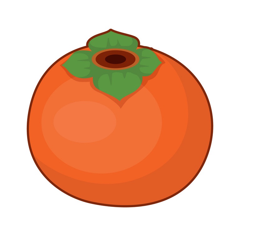 simple persimmon fruit