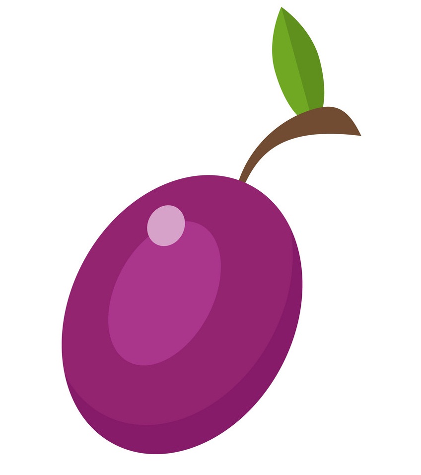 simple plum icon