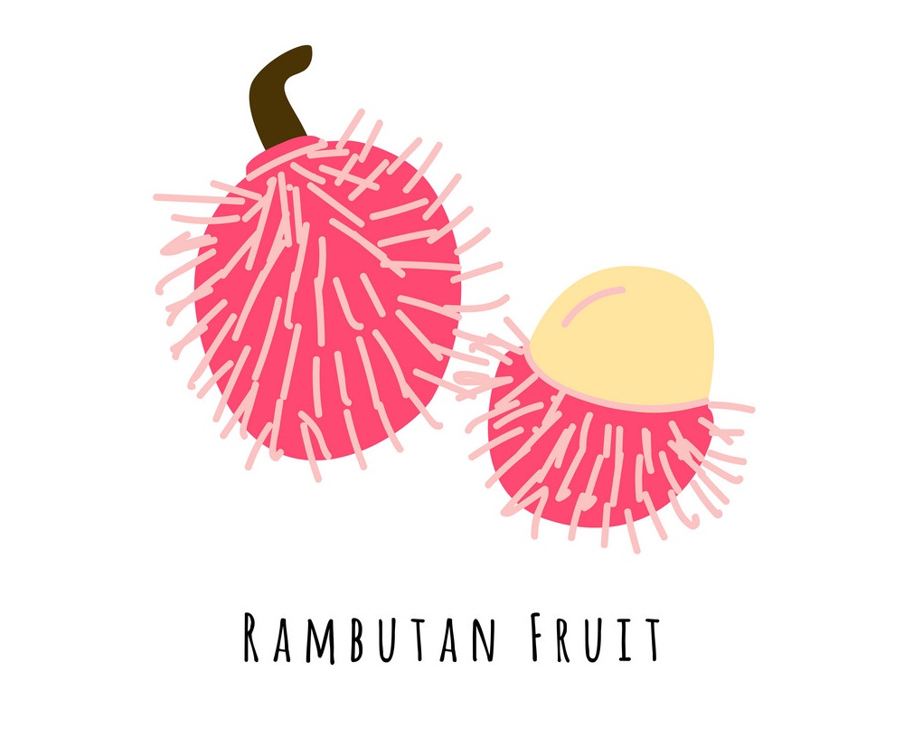 simple rambutan fruit