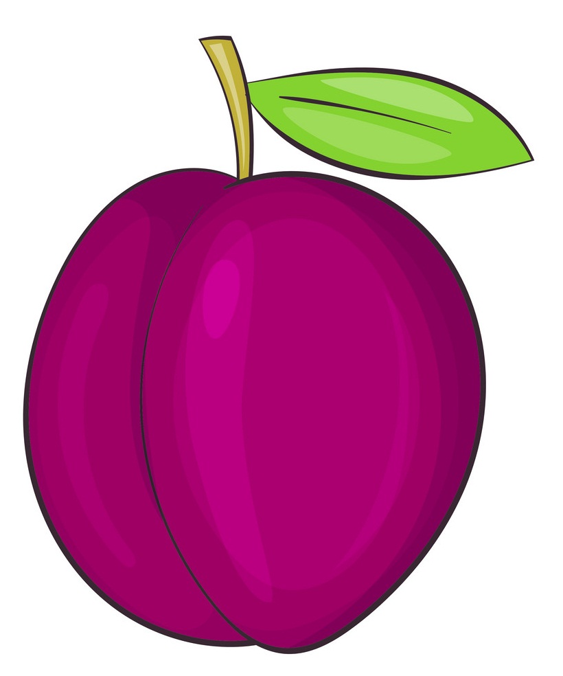 simple red plum