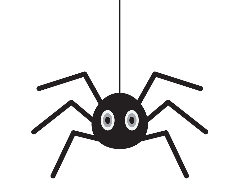 simple spider