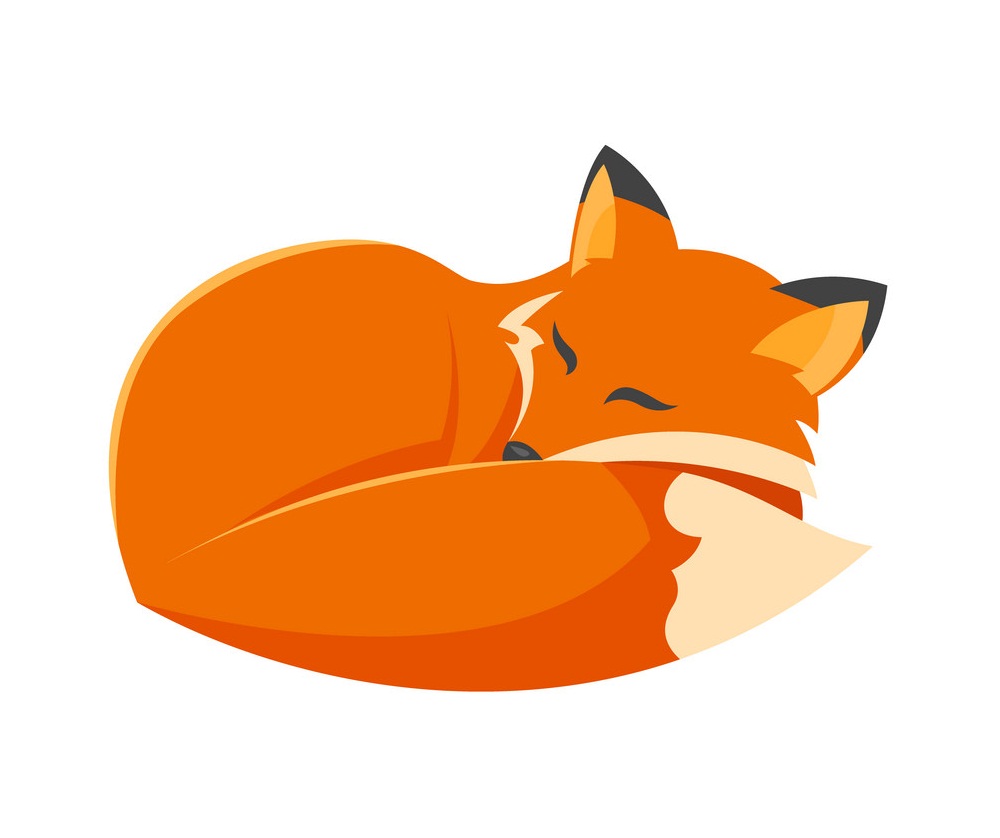 sleeping fox