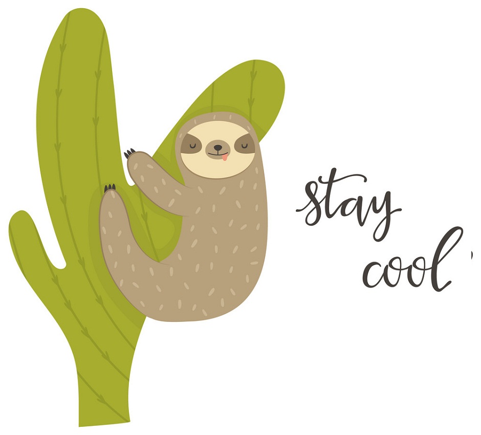sleeping sloth hanging on a cactus