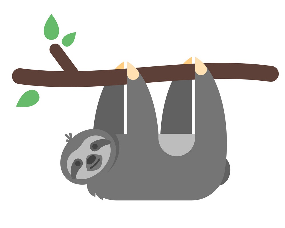 sloth hanging on a branch flat design
