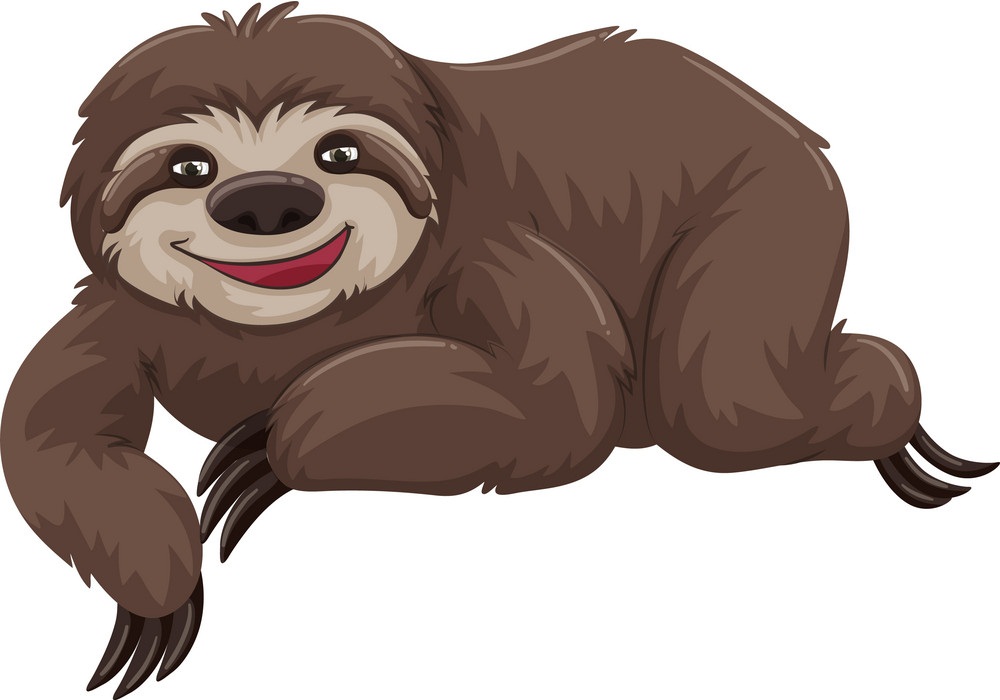 sloth with happy face