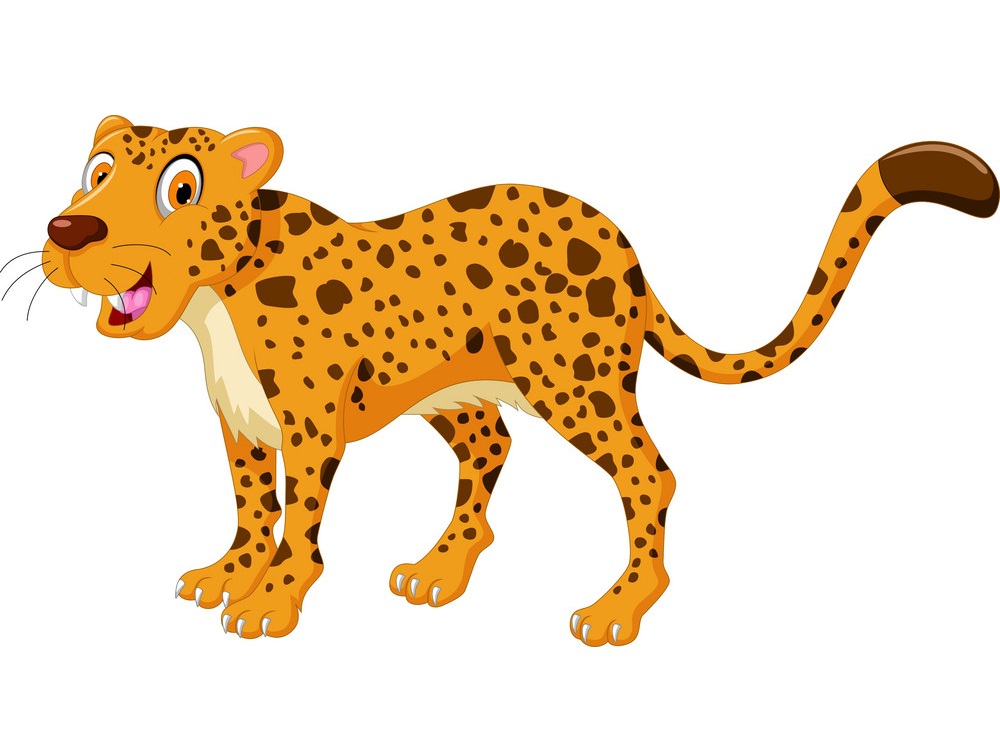 smiling cheetah
