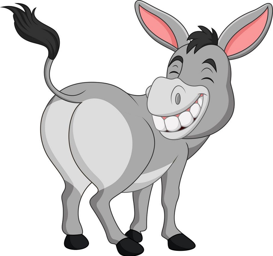 smiling donkey showing ass