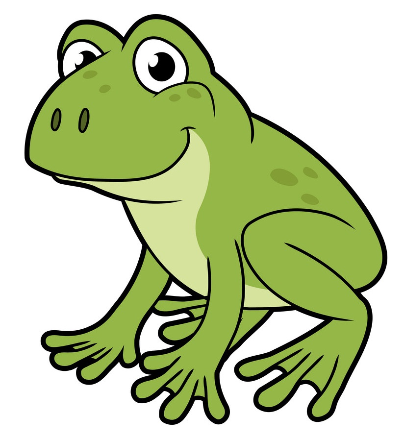 smiling green frog