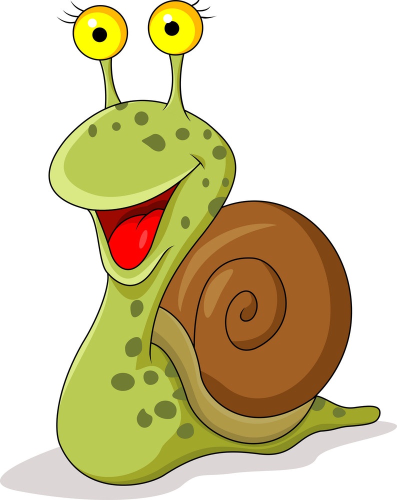 smiling snail