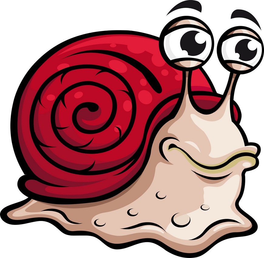 snail with red shell