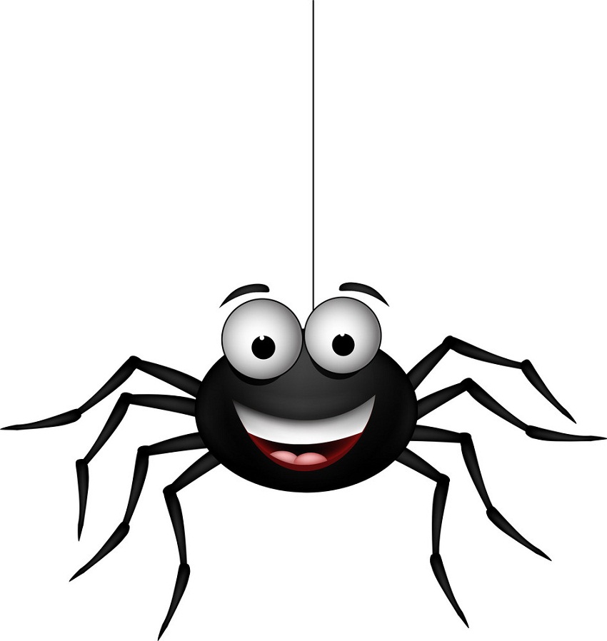 spider is smiling