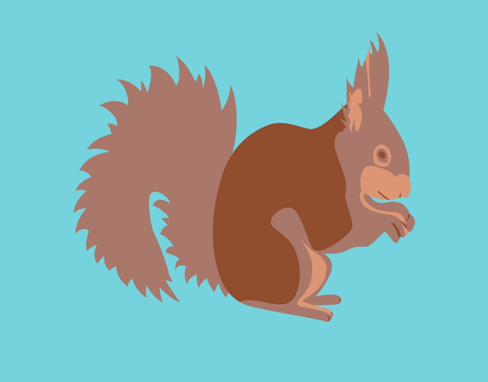 squirrel flat design on blue background