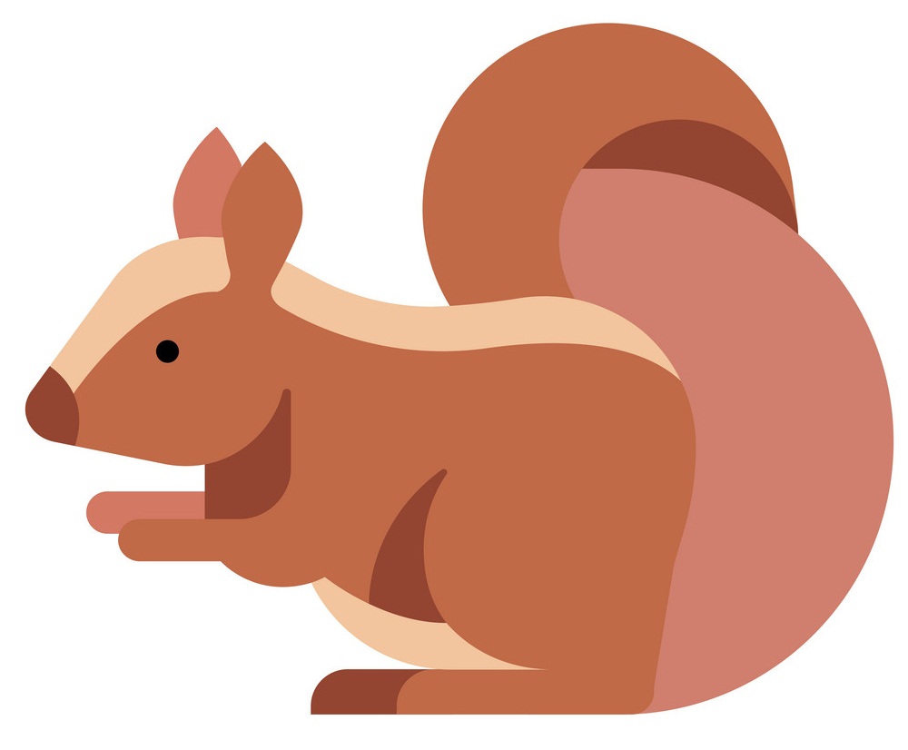 squirrel flat design