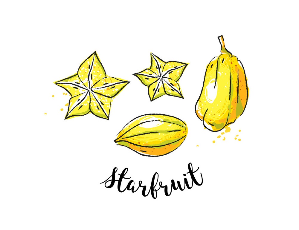 star fruit graphic drawing