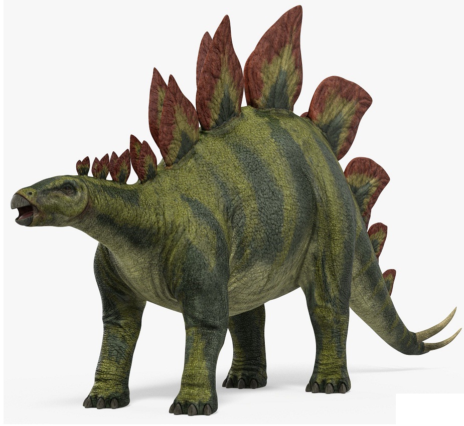 stegosaurus