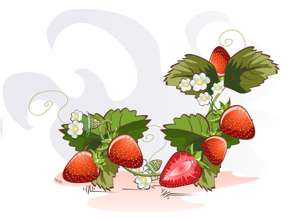 strawberry plant with flowers