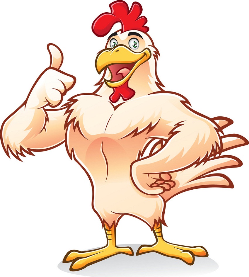 strong chicken