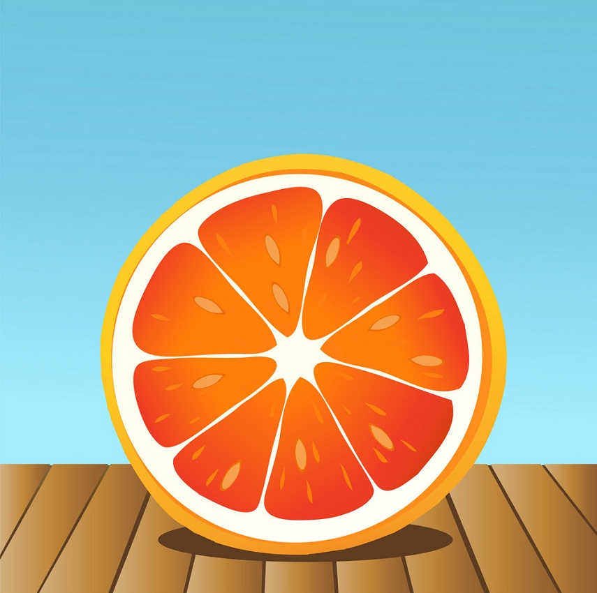 summer grapefruit slice
