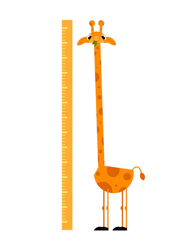 super long neck giraffe