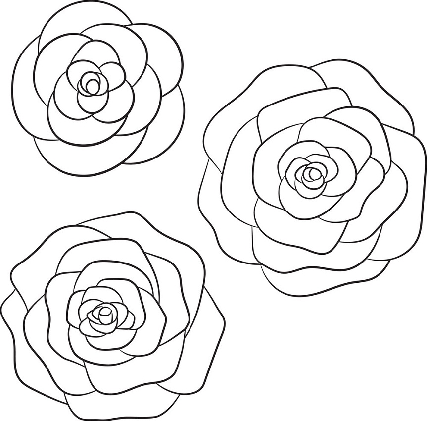 three black roses outline