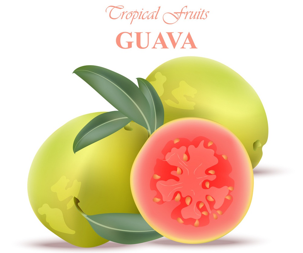 tropical guava fruits