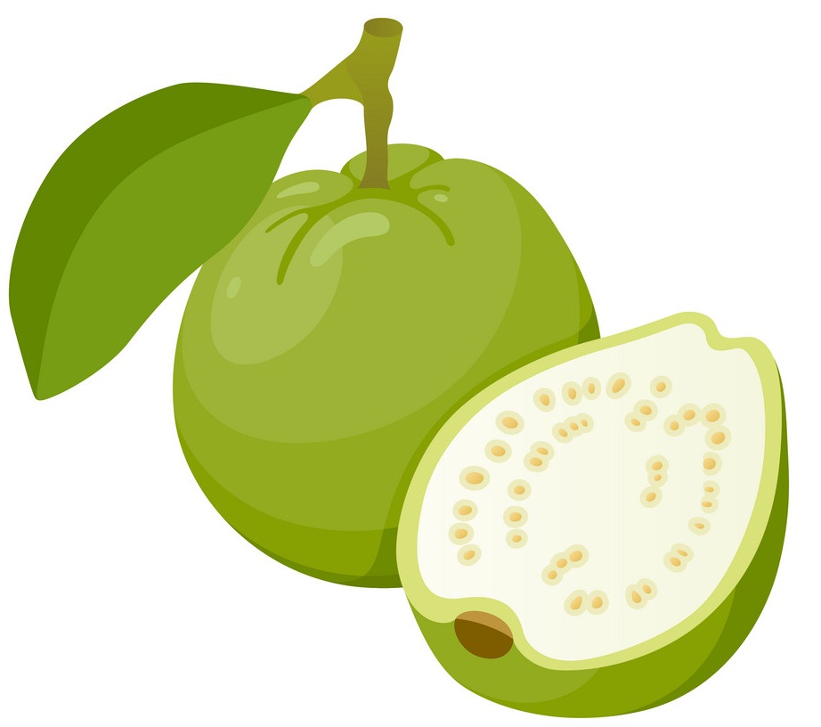 tropical guava