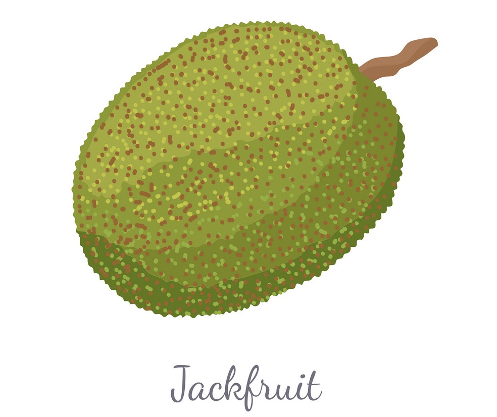 tropical jackfruit