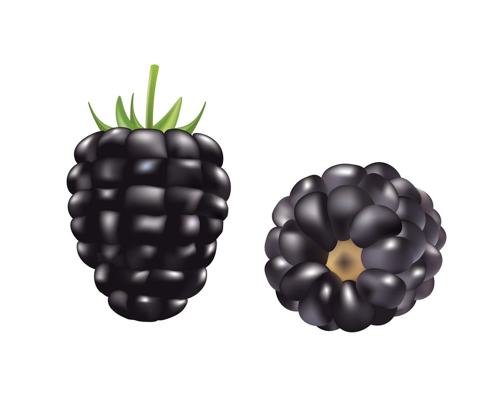 two blackberries