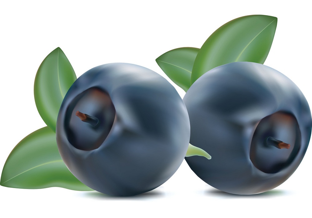 two blueberries