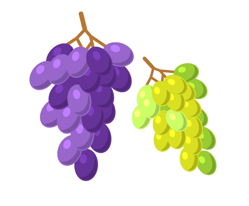 two bunches of grapes