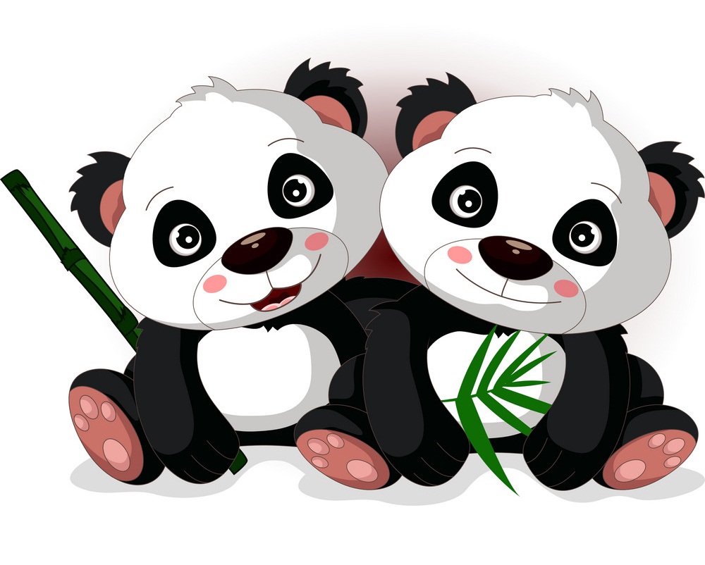 two cute panda