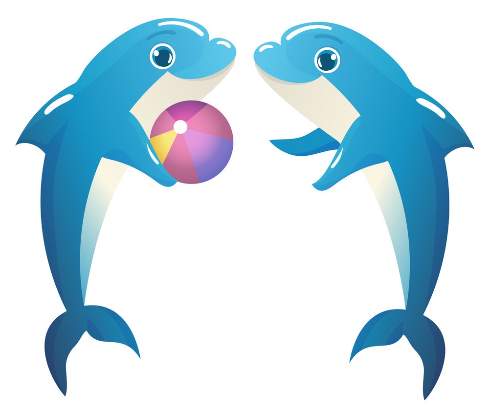 two dolphins playing with a ball