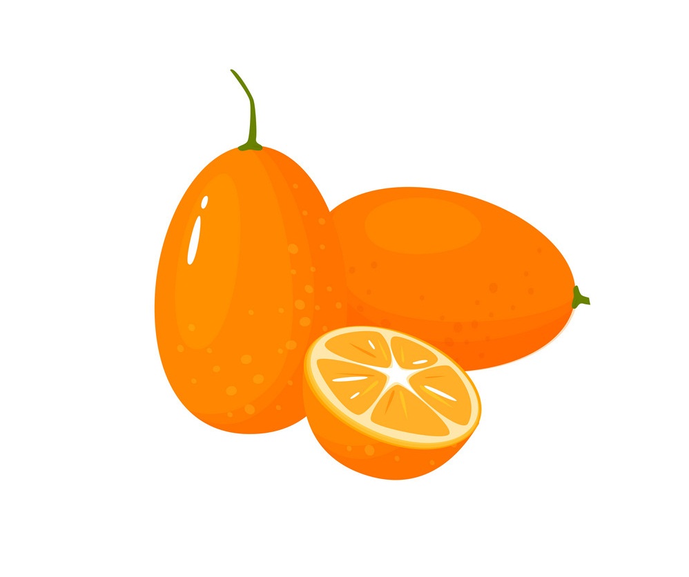 two kumquat fruits and a half