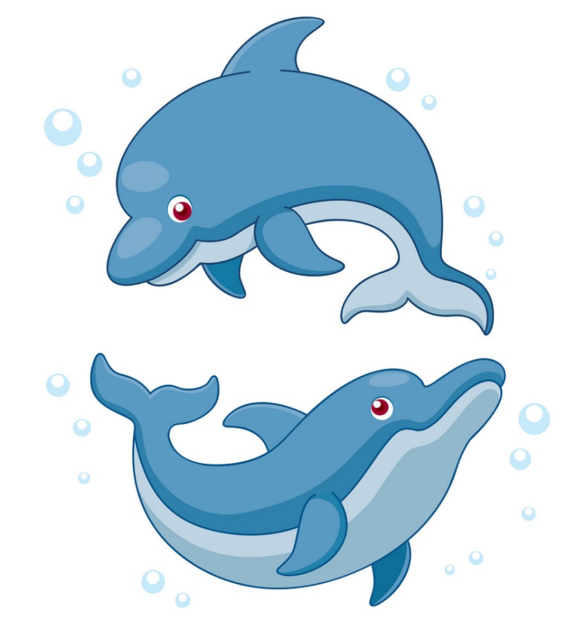 two lovely dolphins