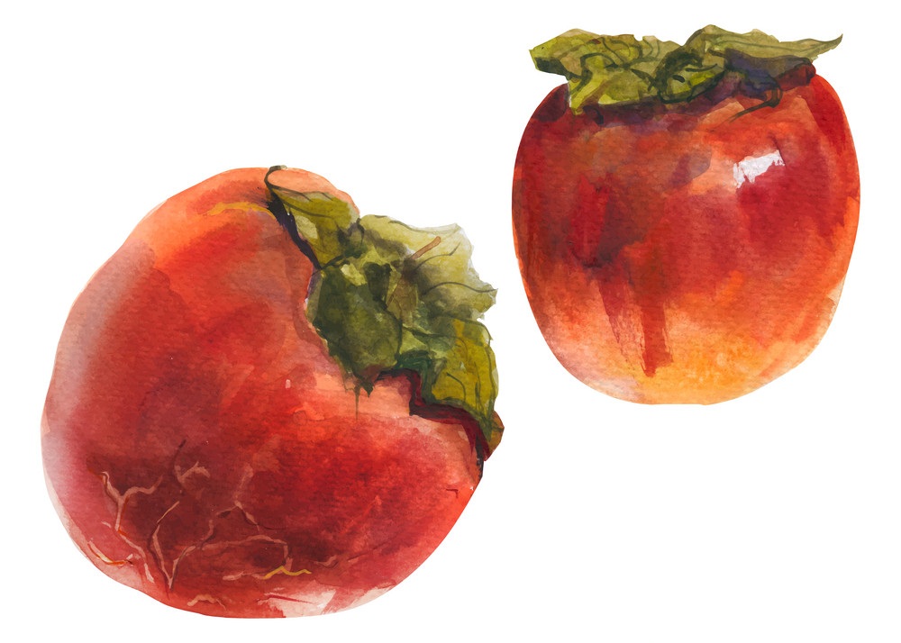 two red persimmons